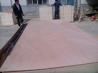 0.5厘膠合板 – 產(chǎn)品展示 - 