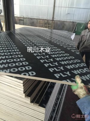 【廠家直銷建筑模板 覆膜膠合板 建筑木模板 工程模板 18mm楊木芯 混凝土支撐】 - 產品庫