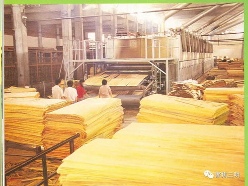 滬明記憶② 半個世紀前,上海遷入三明的18家企業,你知道幾個
